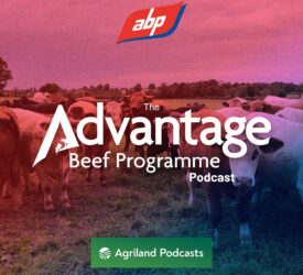 The Advantage Beef Programme podcast: Improving the sustainability of beef production