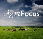 Listen: AgriFocus – Irish farmers and LULUCF