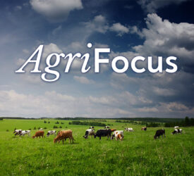 Listen: AgriFocus - Irish farmers and LULUCF