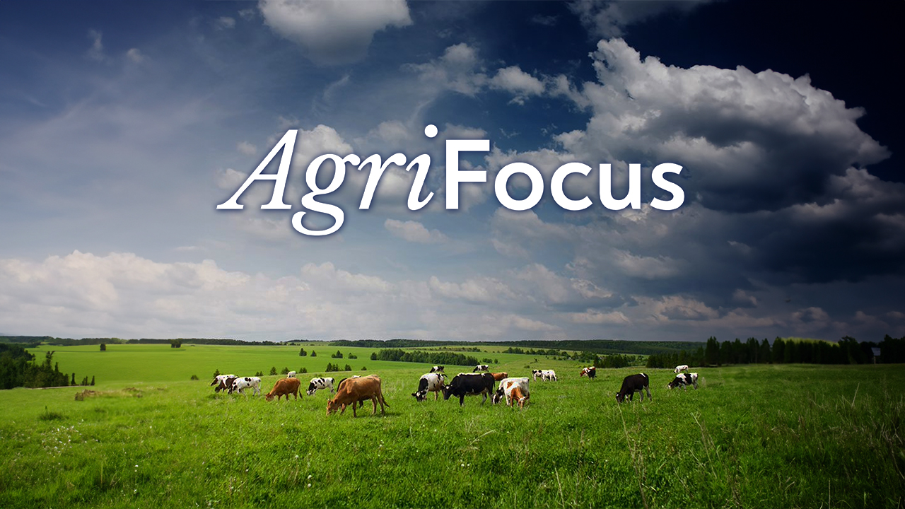 Listen: AgriFocus – Irish farmers and LULUCF