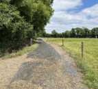 Dairy farmer reduces lameness using astro turf roadways