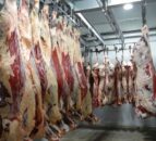 299 incidents at meat plants occurred in 2023