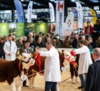 Meath man selected as judge for prominent UK livestock expo