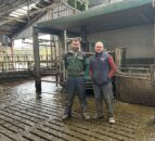 Dairy Throwback: Milking 240 cows with 4 GEA robots in Co. Antrim