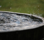 Farm walk to examine rainwater management for water quality