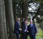 Coillte launches 'risk-free' private forestry initiative