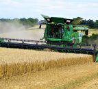 Opinion: €100/ha tillage payment is a start, but more needed