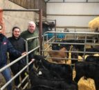 Beef Focus: Tidy calf-rearing setup on Tipperary beef farm