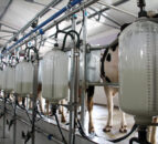 Using super levies to help the wider dairy industry