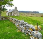 Agri committee to discuss vacant and derelict houses on farmland