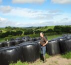 Managing grass to produce fodder