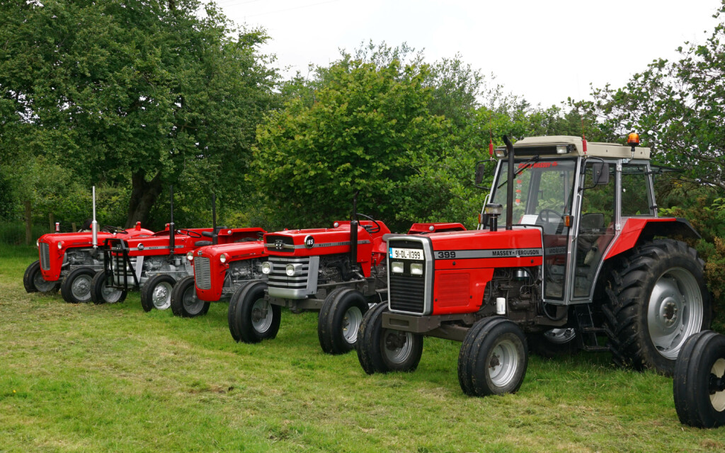 MF tractors at Kerrykeel