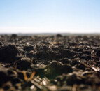 'Uncertainty' in Ireland's soil carbon sequestration approach