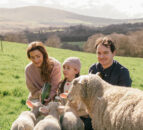 Wicklow wool business creates 'farm to yarn' network