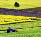 EU agri council debates future of farming but without consensus