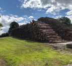 Farmers considering forestry urged to attend free open days