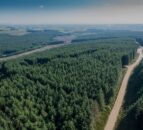 Hackett publishes latest annual forest statistics