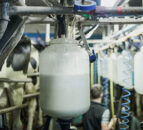 Milk Price Tracker: Slight upward trend for February supplies