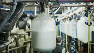 Milk Price Tracker: Slight upward trend for February supplies