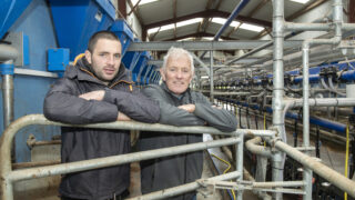 Dairy Beef Index Series: Limerick farmers plan to breed 100 cows to beef sires