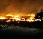 Farmers warned to be 'extra vigilant' as risk of forest fires increases