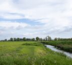 Land in Wexford had nearly double its yearly P loss after day of rain