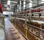 Buildings Focus: 18-unit parlour and 104 cubicles in Sligo