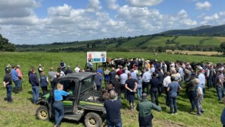 ABP Longford event to focus on reseeding and calf to beef