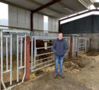 Beef focus: Young Monaghan farmer's model suckler setup