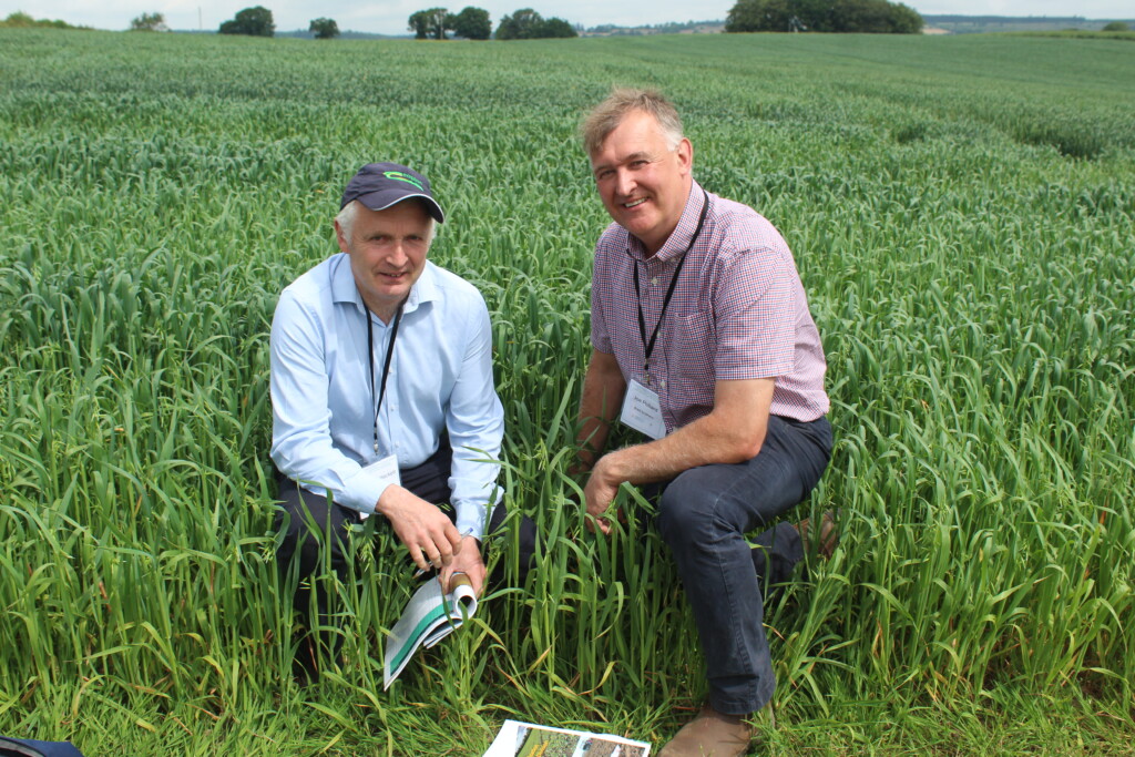 Discussing the spring oats crops on trial at Ballyderown Farm, (l-r): Richie Hackett, Teagasc and Joe Pollard, Brett Brothers