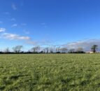 53.6ac of land in Rosslare offers road frontage