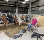 Beef Focus: 34 years farming from a wheelchair in Sligo