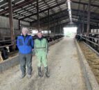 Beef focus: Integrated dairy and beef farm in Tipperary