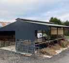 Buildings Focus: Merging a new slatted shed with an old hay shed