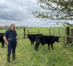 Farm focus: A multi-faceted farming operation in Mullagh