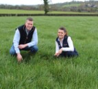 Protected urea sales continue to grow in Northern Ireland