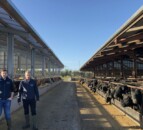 Beef Focus revisit: Foyle's beef unit and 1,100ac research farm