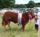 Results: Beef, dairy and sheep champions at Armagh Show