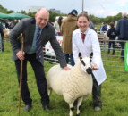 Impressive turnout of sheep at Ballymena Show 2024