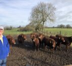 Beef Focus: A move from dairy to Dexter on 20ac Westmeath farm