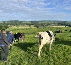 Judging underway for Kildare Holstein Friesian Breeders Club