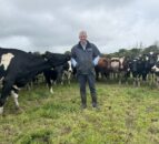 Dairy Throwback: ‘Milking cows is my therapy’ – Senator Lombard