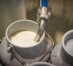 Milk Price Tracker: November prices were more positive