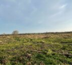 170ac of cleared forestry lands for sale in Kildare