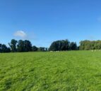 Property: Auction of €1.9m Kildare land amid farm restructuring