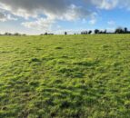 32ac of 'excellent quality land' in Croom for auction