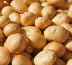 Opinion: 'International Day of the Potato' should be capitalised on