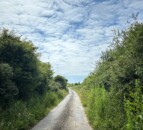 Hedge-cutting ban applies to gardens 'as much as it does to farms'