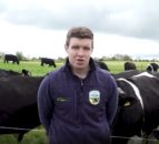 Watch: Virtual farm walk on Green Acres calf-to-beef farm goes live tomorrow