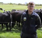 Virtual Farm Walk: Follow Jarlath Ruane as he runs through his calf-to-beef farm